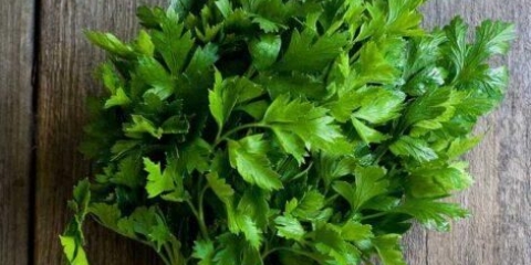 Kako da peršun ostane svež u frižideru duže vreme